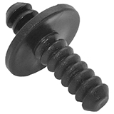 Шканты Шканты